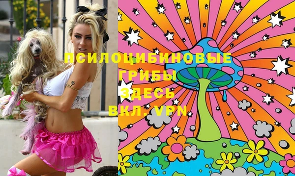 соль ск Фурманов