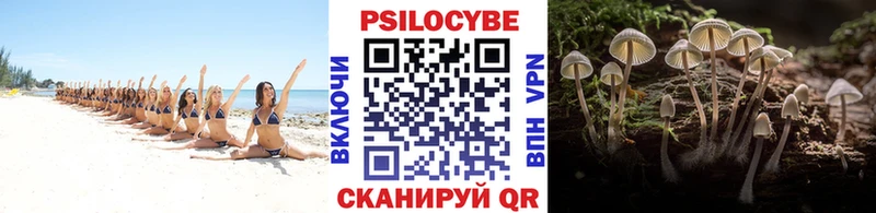 Галлюциногенные грибы мицелий  Купить где  Унеча 